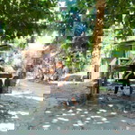 Kyt Balbuena profile icon