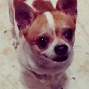 She Crz profile icon