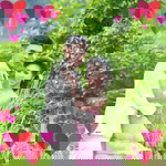 สนุ๊ก กุญแจซอล profile icon