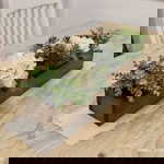 อนันทิตา ศรีรัตน์ profile icon