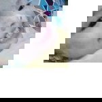 yunus profile icon