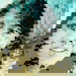 Anita Theresia profile icon