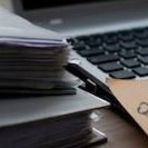 Sani Hasya profile icon