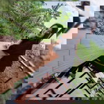 บี ดับเบิ้ลอี. profile icon