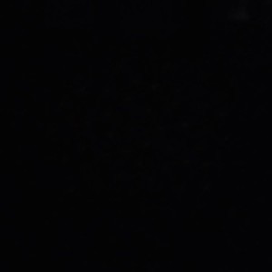 Danica Deguzman profile icon