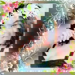 Jm Pagulayan profile icon