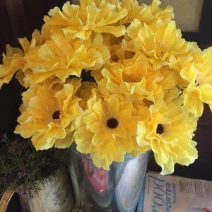 Sissy Oat profile icon