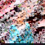 Lukkaew Makmanee profile icon