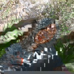 นภาพร วงวิเศษ profile icon