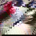 Aisyah Ummah Hafiyya /CUCU AISAH profile icon