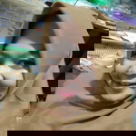 Siti Mariam profile icon