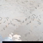 วิไลลักษณ์ แก้วนารี profile icon