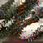 Bussara Nook profile icon