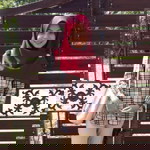 rosmalini wan profile icon