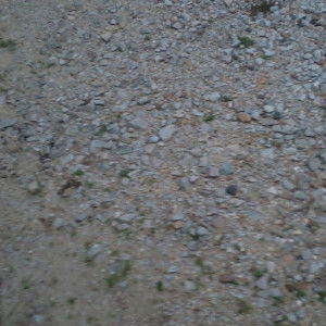 ryzana fauzi profile icon