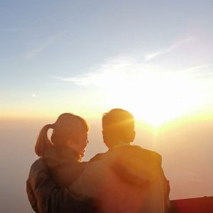 Ansellia Teo profile icon