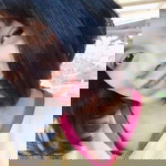 Khwan Khwan profile icon