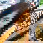 อนุธิดา โชติสน profile icon