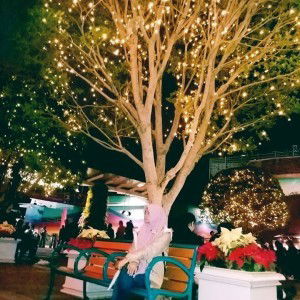 Maesaroh Jaya profile icon