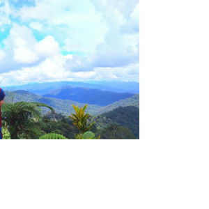 Khadeeja profile icon