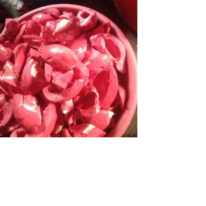 Aqila Al Khanza profile icon