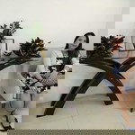 Jocelyn C. Estacio profile icon