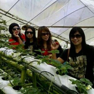 ira anidar profile icon