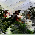 ira anidar profile icon