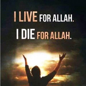 Abd Satar Rohana profile icon