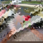 Ayu Ismawatirohmani profile icon