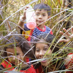 Chrisma Wiraradja profile icon