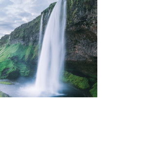 Raisya rania rizqi profile icon