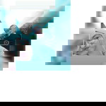 Dian Provie profile icon