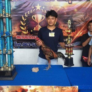 ทีเร็กซ์&#x27;ฟาร์ม พม่าล้อและป่าก๋อย profile icon