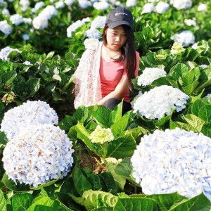 Whan Suwimon profile icon