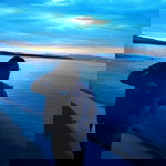 chanesya nesya profile icon