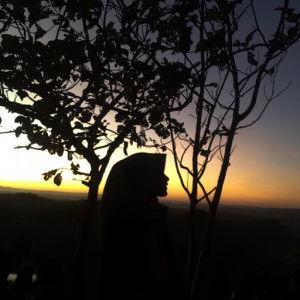 Vika Fikriatul Ula profile icon