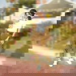 Khampiraphan Pho-on profile icon