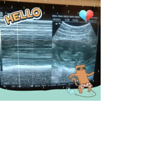 Jam Dimabasa profile icon