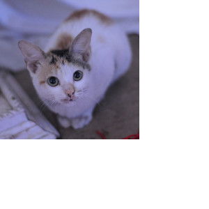 mama khawla profile icon