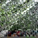 Margaret Gan profile icon