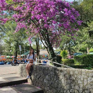 Rosalie Siongco profile icon