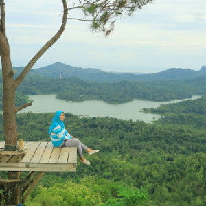 Nur Alimah profile icon