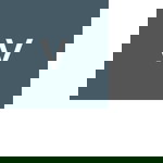 vangelin moratalla profile icon