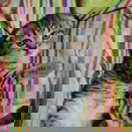 Zullaiyha Zullie profile icon