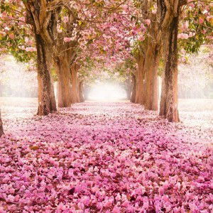 Kebaya Bunga profile icon