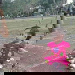 Minatika profile icon