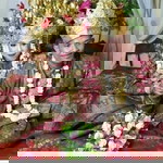 Ike Kurniati profile icon