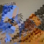 Shantika profile icon