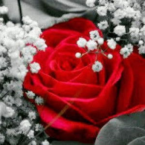 Tari Widi Latief profile icon